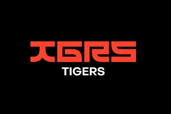 Tigers, agencja digital marketingu